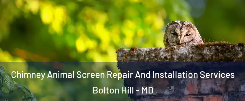 Chimney Animal Screen Repair And Installation Services Bolton Hill - MD