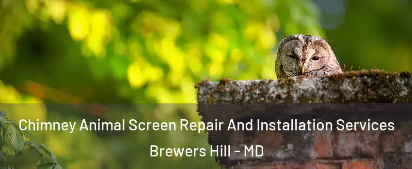 Chimney Animal Screen Repair And Installation Services Brewers Hill - MD