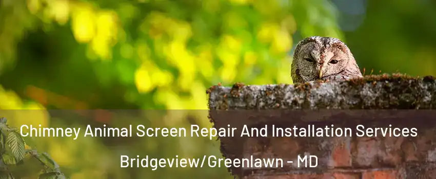 Chimney Animal Screen Repair And Installation Services Bridgeview/Greenlawn - MD