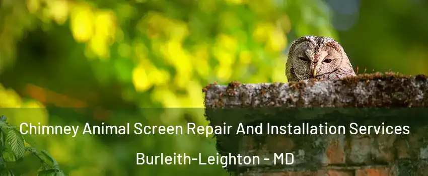 Chimney Animal Screen Repair And Installation Services Burleith-Leighton - MD