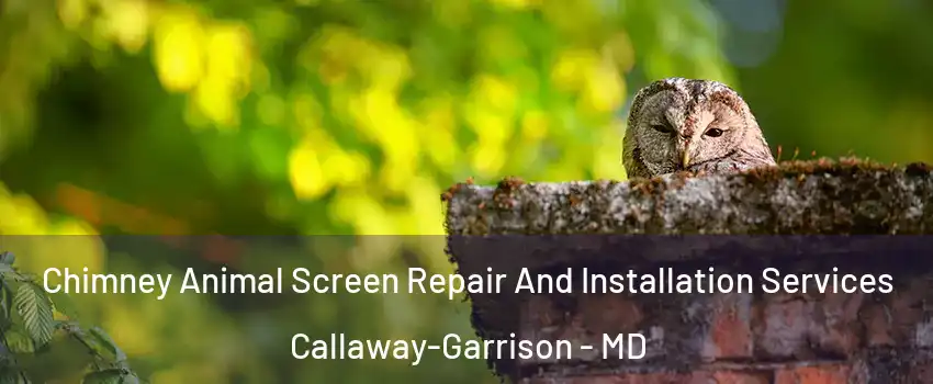 Chimney Animal Screen Repair And Installation Services Callaway-Garrison - MD