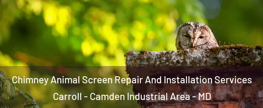 Chimney Animal Screen Repair And Installation Services Carroll - Camden Industrial Area - MD