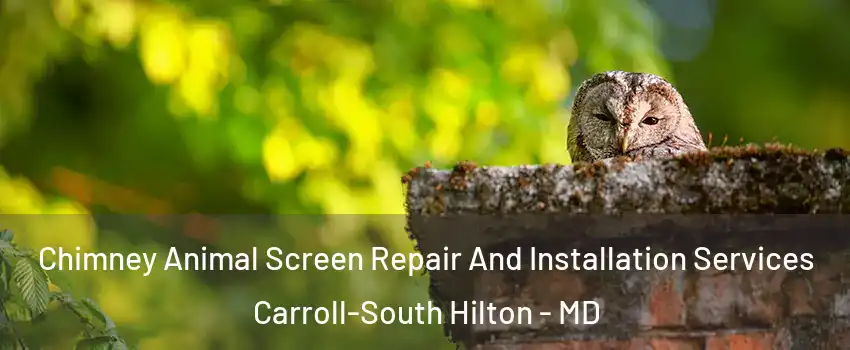 Chimney Animal Screen Repair And Installation Services Carroll-South Hilton - MD