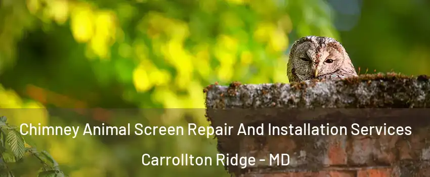 Chimney Animal Screen Repair And Installation Services Carrollton Ridge - MD