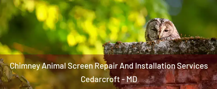 Chimney Animal Screen Repair And Installation Services Cedarcroft - MD