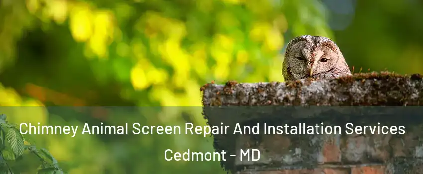Chimney Animal Screen Repair And Installation Services Cedmont - MD