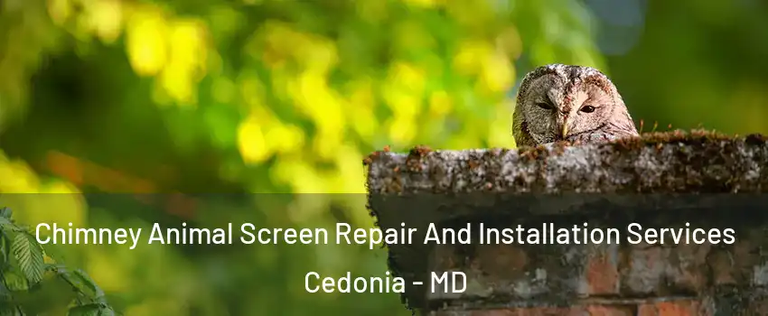 Chimney Animal Screen Repair And Installation Services Cedonia - MD