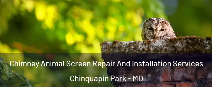 Chimney Animal Screen Repair And Installation Services Chinquapin Park - MD