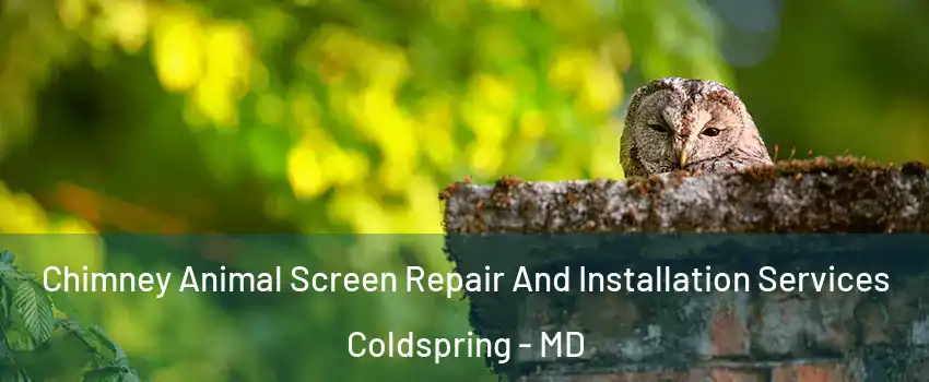 Chimney Animal Screen Repair And Installation Services Coldspring - MD
