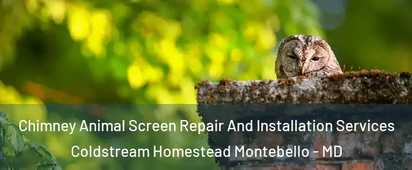 Chimney Animal Screen Repair And Installation Services Coldstream Homestead Montebello - MD