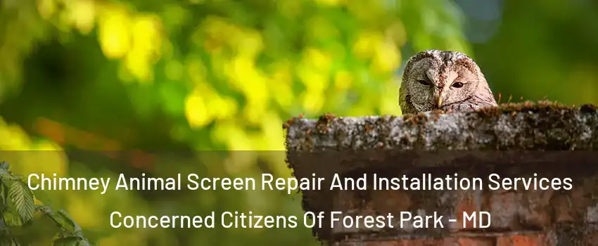 Chimney Animal Screen Repair And Installation Services Concerned Citizens Of Forest Park - MD