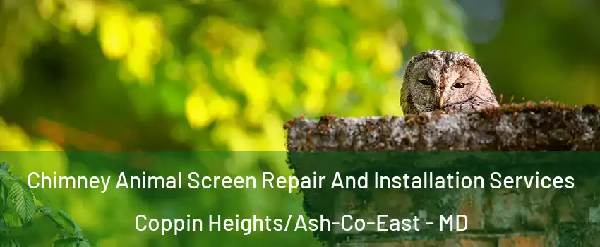 Chimney Animal Screen Repair And Installation Services Coppin Heights/Ash-Co-East - MD