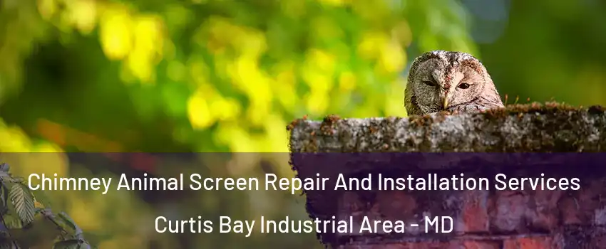 Chimney Animal Screen Repair And Installation Services Curtis Bay Industrial Area - MD