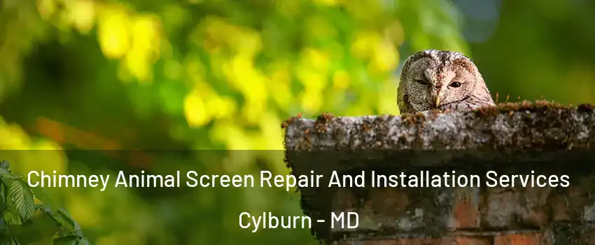 Chimney Animal Screen Repair And Installation Services Cylburn - MD