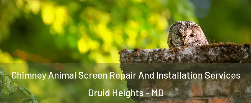 Chimney Animal Screen Repair And Installation Services Druid Heights - MD