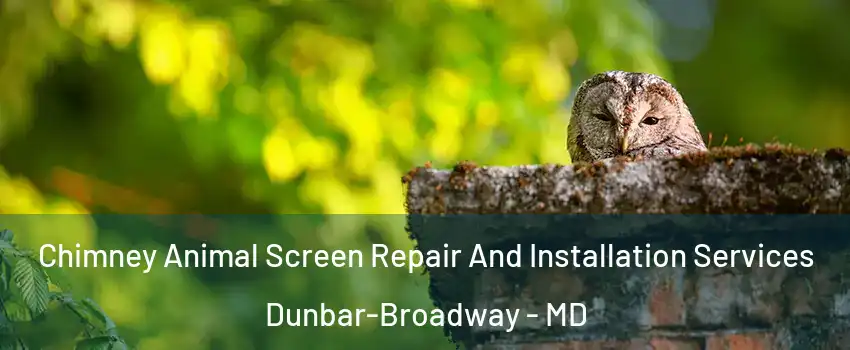 Chimney Animal Screen Repair And Installation Services Dunbar-Broadway - MD