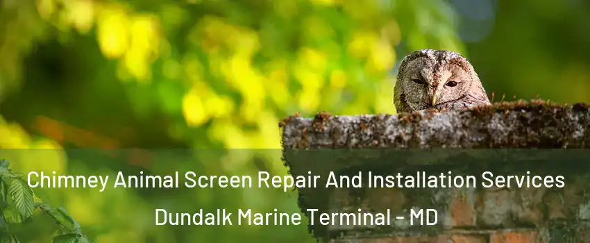 Chimney Animal Screen Repair And Installation Services Dundalk Marine Terminal - MD