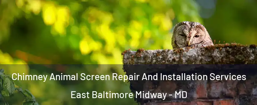 Chimney Animal Screen Repair And Installation Services East Baltimore Midway - MD