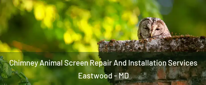 Chimney Animal Screen Repair And Installation Services Eastwood - MD