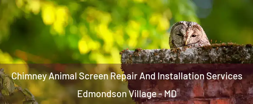 Chimney Animal Screen Repair And Installation Services Edmondson Village - MD