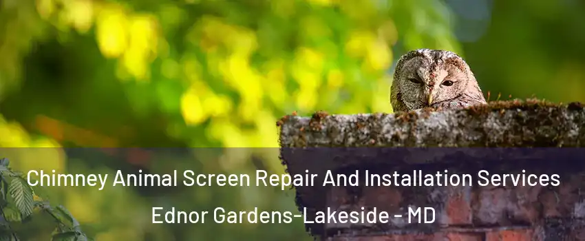 Chimney Animal Screen Repair And Installation Services Ednor Gardens-Lakeside - MD