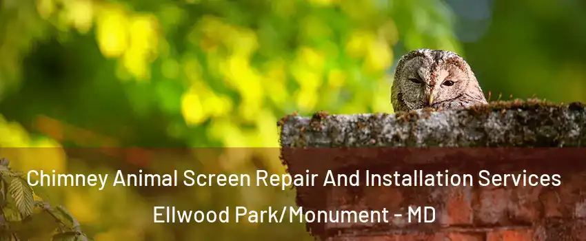 Chimney Animal Screen Repair And Installation Services Ellwood Park/Monument - MD
