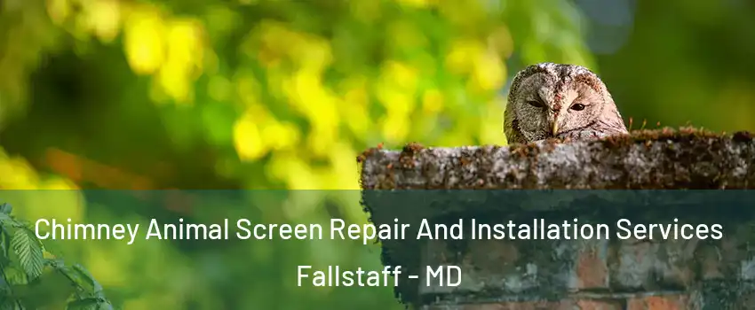 Chimney Animal Screen Repair And Installation Services Fallstaff - MD