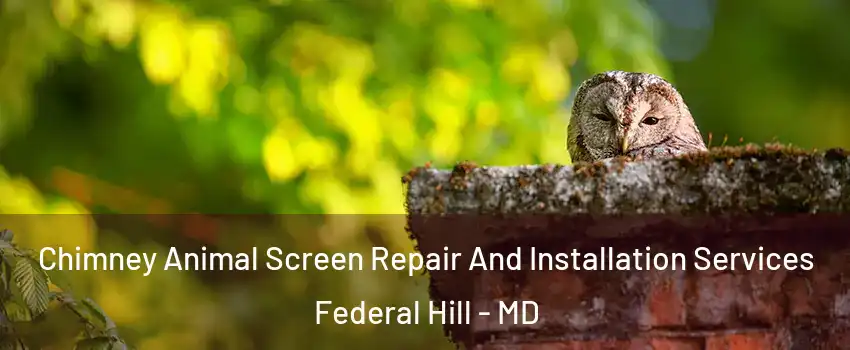 Chimney Animal Screen Repair And Installation Services Federal Hill - MD