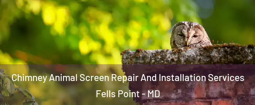 Chimney Animal Screen Repair And Installation Services Fells Point - MD