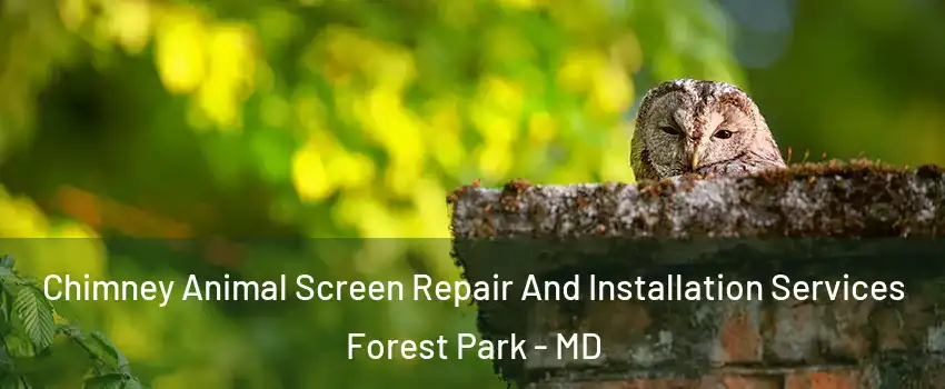 Chimney Animal Screen Repair And Installation Services Forest Park - MD