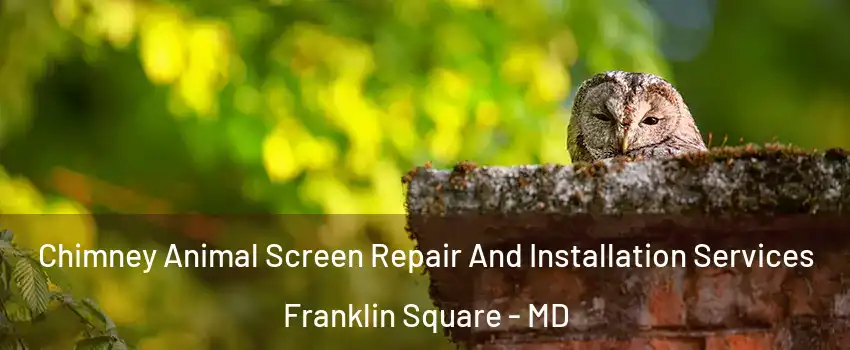 Chimney Animal Screen Repair And Installation Services Franklin Square - MD