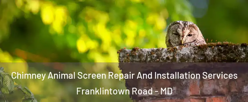 Chimney Animal Screen Repair And Installation Services Franklintown Road - MD