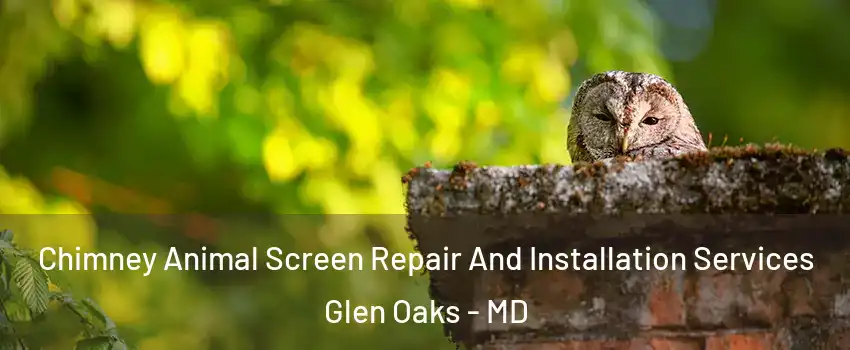 Chimney Animal Screen Repair And Installation Services Glen Oaks - MD