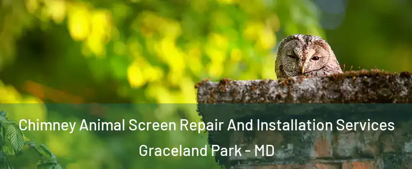 Chimney Animal Screen Repair And Installation Services Graceland Park - MD
