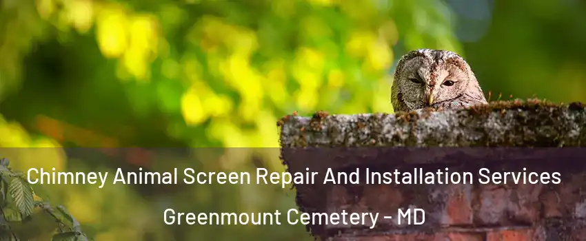 Chimney Animal Screen Repair And Installation Services Greenmount Cemetery - MD