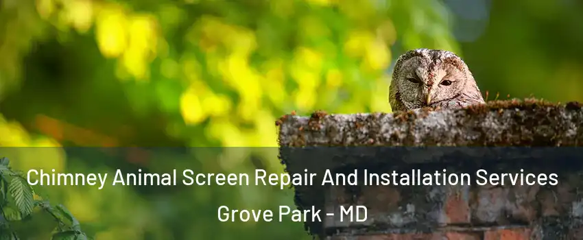 Chimney Animal Screen Repair And Installation Services Grove Park - MD