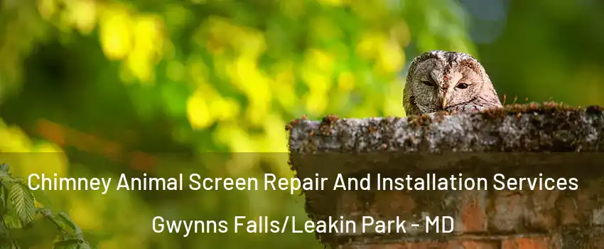 Chimney Animal Screen Repair And Installation Services Gwynns Falls/Leakin Park - MD