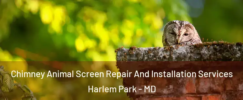 Chimney Animal Screen Repair And Installation Services Harlem Park - MD