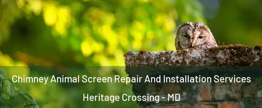 Chimney Animal Screen Repair And Installation Services Heritage Crossing - MD
