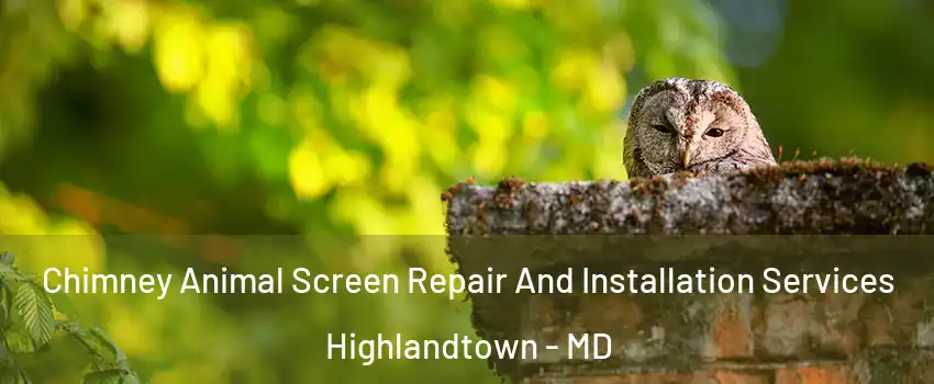 Chimney Animal Screen Repair And Installation Services Highlandtown - MD