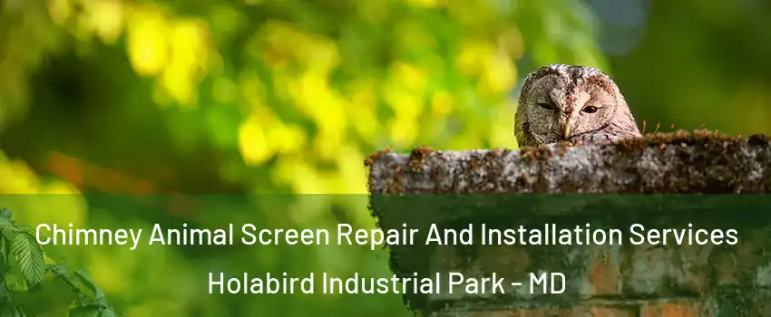 Chimney Animal Screen Repair And Installation Services Holabird Industrial Park - MD