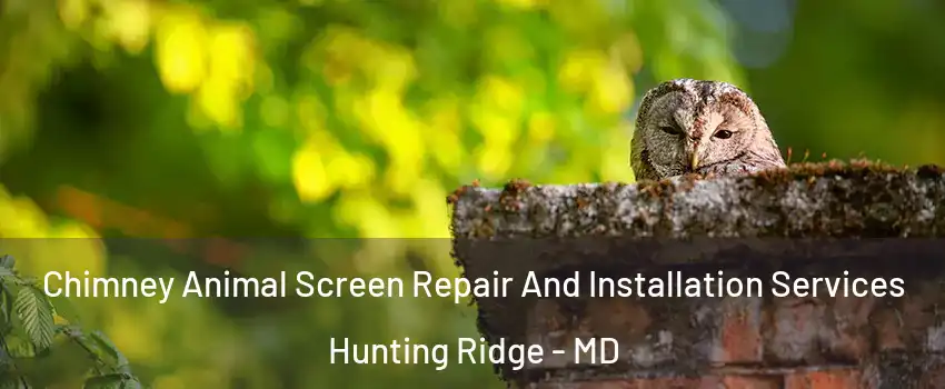 Chimney Animal Screen Repair And Installation Services Hunting Ridge - MD