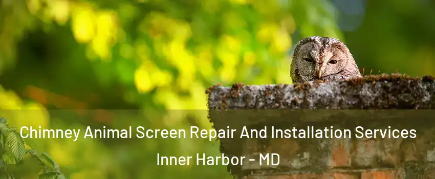 Chimney Animal Screen Repair And Installation Services Inner Harbor - MD