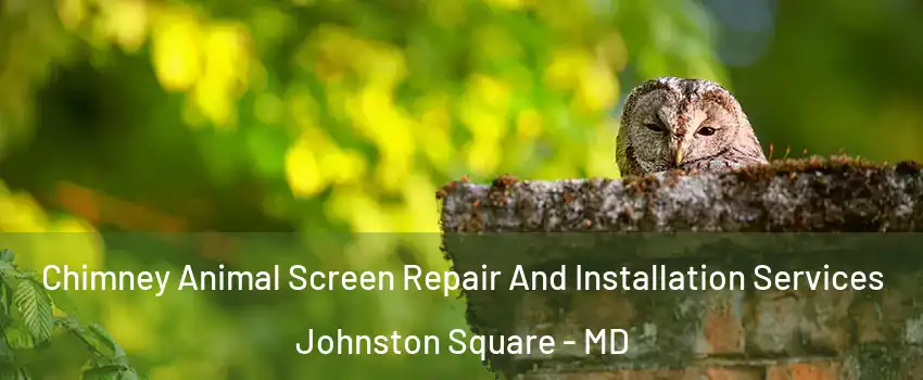 Chimney Animal Screen Repair And Installation Services Johnston Square - MD