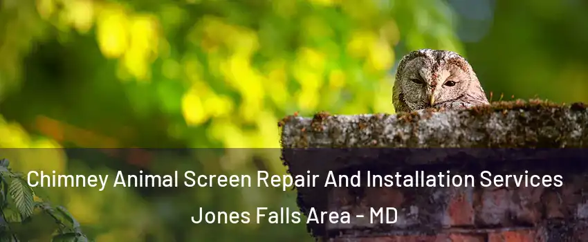 Chimney Animal Screen Repair And Installation Services Jones Falls Area - MD