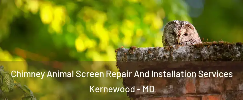 Chimney Animal Screen Repair And Installation Services Kernewood - MD