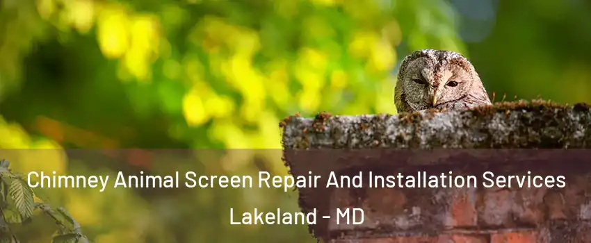 Chimney Animal Screen Repair And Installation Services Lakeland - MD