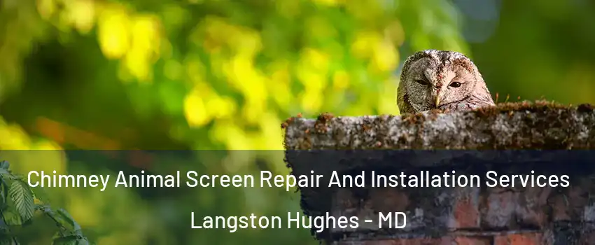 Chimney Animal Screen Repair And Installation Services Langston Hughes - MD