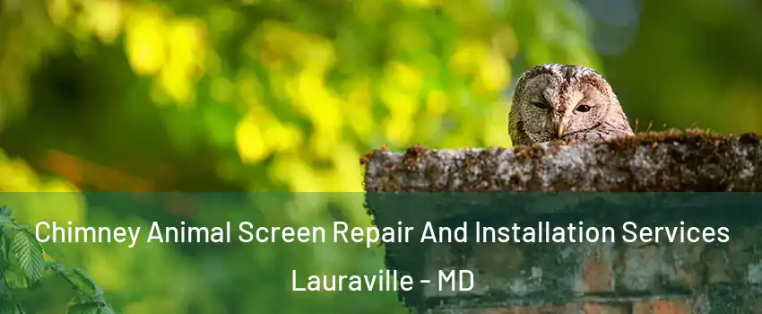 Chimney Animal Screen Repair And Installation Services Lauraville - MD