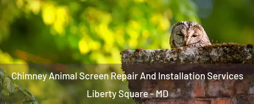 Chimney Animal Screen Repair And Installation Services Liberty Square - MD